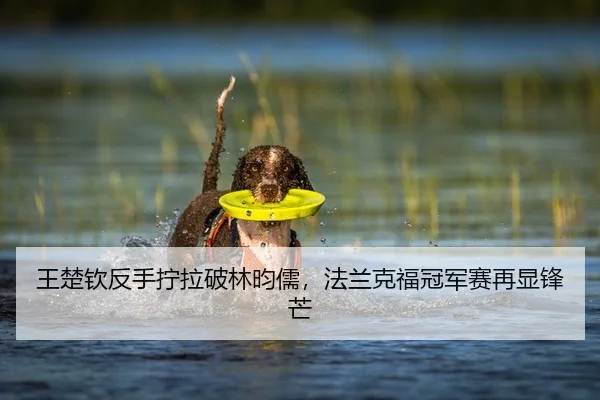 wang-chu-qin-fan-shou-ning-la-po-lin-yun-ru-fa-lan-ke-fu-guan-jun-sai-zai-xian-feng-mang-2-372.jpg